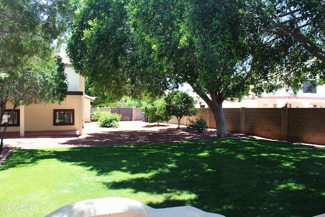 view of yard with a patio area