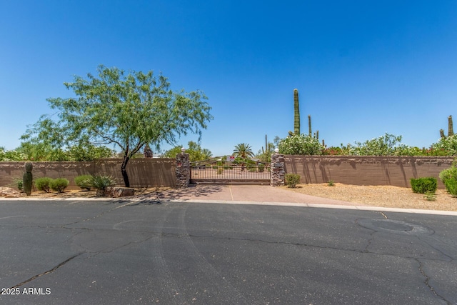 8043 E Laurel St, Mesa, AZ 85207 - view of yard with a gate