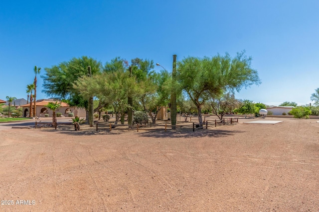 8043 E Laurel St, Mesa, AZ 85207 - view of yard