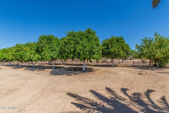 8043 E Laurel St, Mesa, AZ 85207 - view of yard featuring a rural view