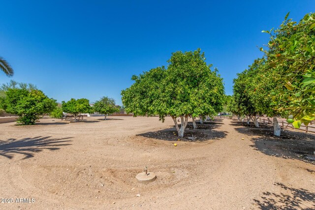 8043 E Laurel St, Mesa, AZ 85207 - view of yard with agricultural area and a rural view