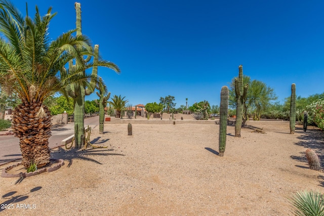 8043 E Laurel St, Mesa, AZ 85207 - view of yard