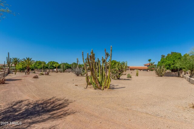 8043 E Laurel St, Mesa, AZ 85207 - view of yard