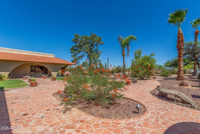 8043 E Laurel St, Mesa, AZ 85207 - view of patio