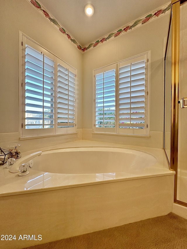 bathroom with a washtub