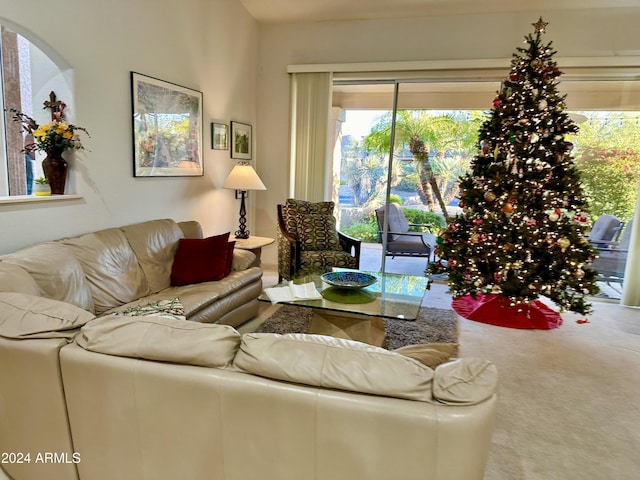 view of carpeted living room