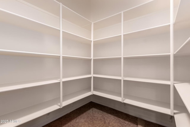14552 S 182nd Dr, Goodyear, AZ 85338 - view of pantry