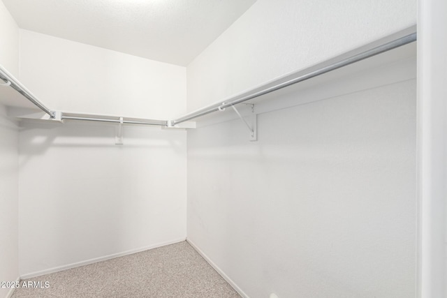 walk in closet with carpet flooring