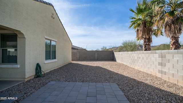 view of yard with a patio area and a fenced backyard