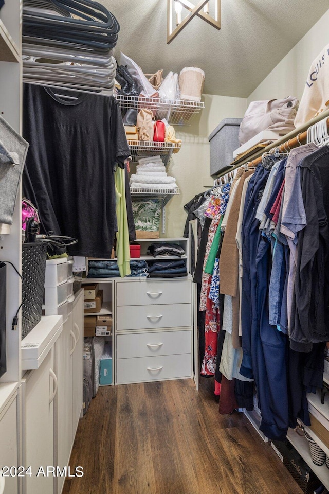 spacious closet with dark hardwood / wood-style floors