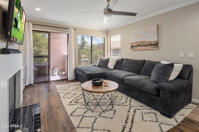 living room featuring ceiling fan, crown molding, and dark hardwood / wood-style flooring