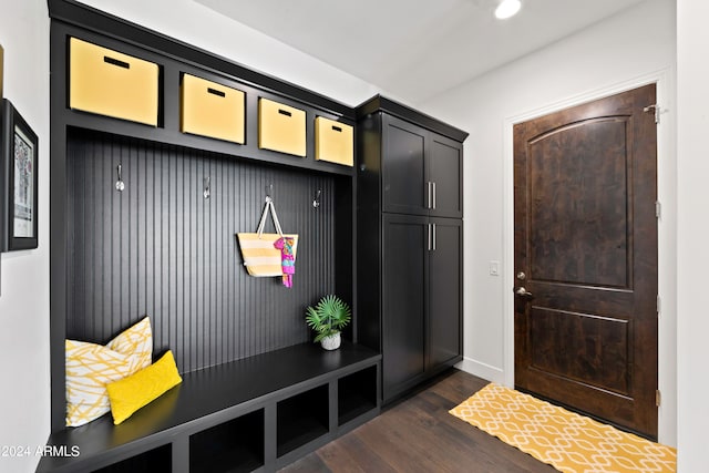 mudroom with dark hardwood / wood-style floors