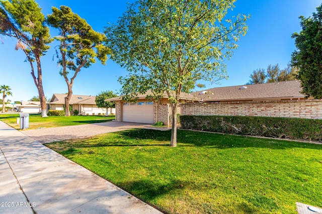 ranch-style home featuring a garage, a front yard, decorative driveway, and brick siding