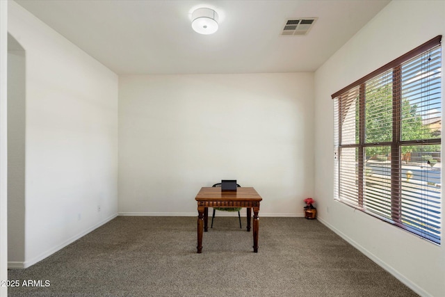43998 W Palo Abeto Dr, Maricopa, AZ 85138 - unfurnished room with carpet floors, baseboards, and visible vents