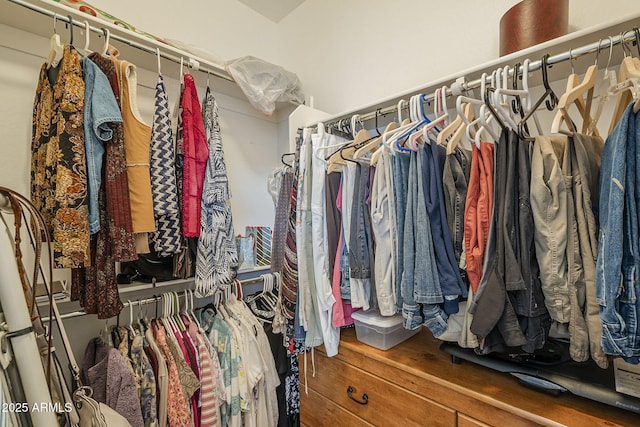 walk in closet featuring hardwood / wood-style flooring