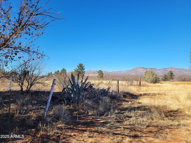 view of yard with a rural view and a mountain view