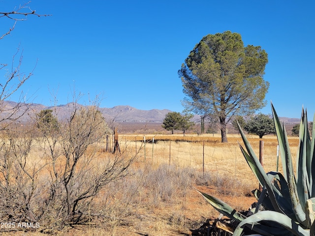 view of yard featuring a rural view and a mountain view