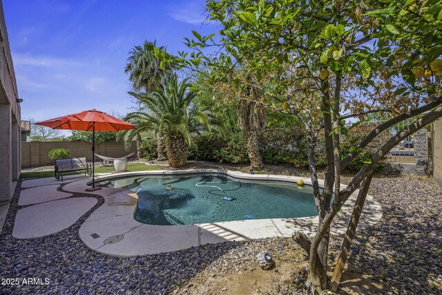 43650 W Snow Dr, Maricopa, AZ 85138 - view of swimming pool with a fenced backyard, a fenced in pool, and a patio