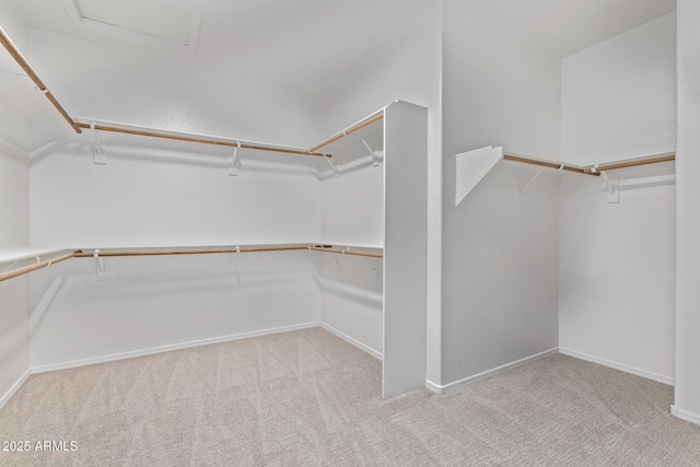 walk in closet featuring attic access and carpet