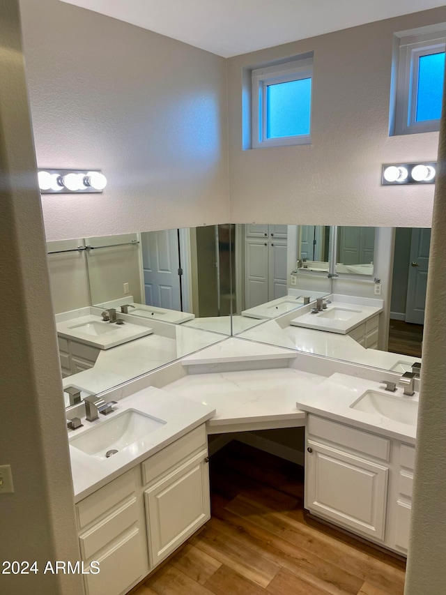 bathroom featuring vanity and wood-type flooring