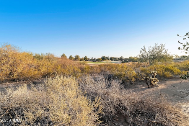 view of nature featuring a rural view