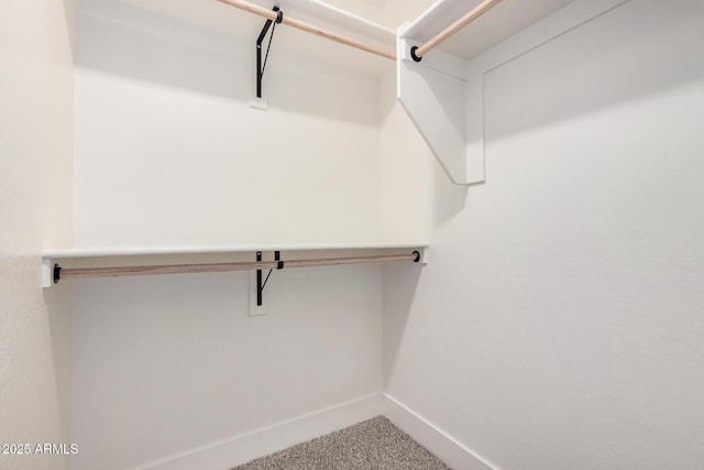 walk in closet featuring carpet floors