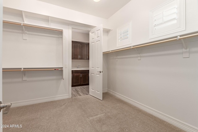 walk in closet featuring light colored carpet and sink