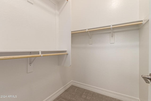 walk in closet with carpet