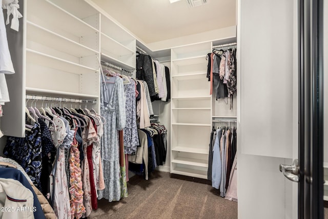 walk in closet featuring carpet