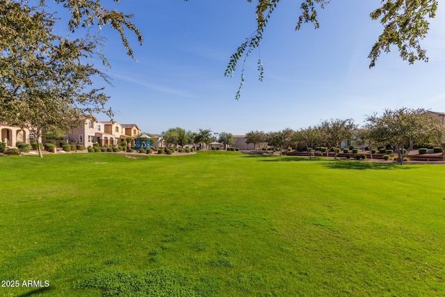 view of property's community featuring a yard