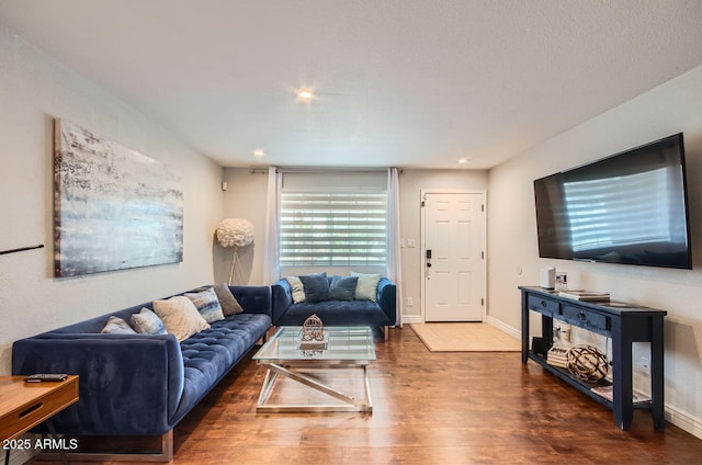 living room featuring dark hardwood / wood-style flooring