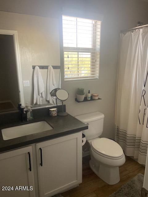 bathroom with vanity, curtained shower, toilet, and wood-type flooring