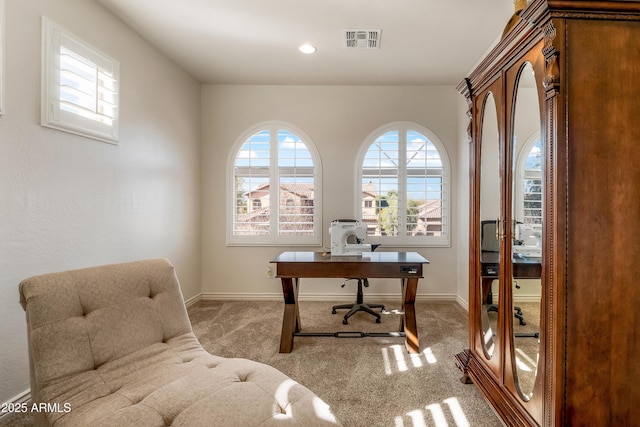 office space with carpet flooring