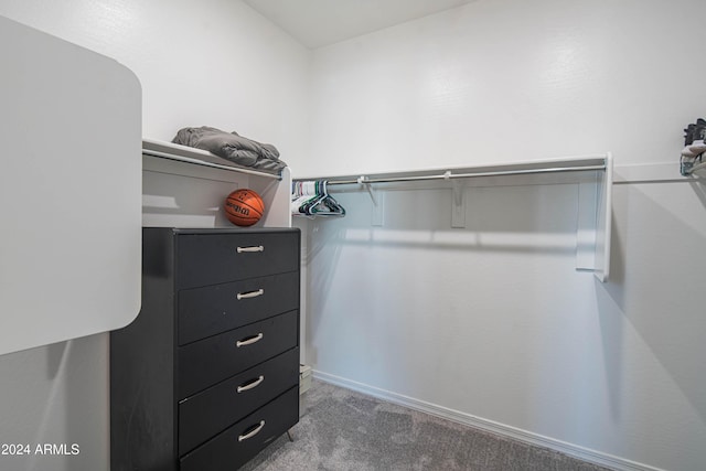 walk in closet featuring carpet flooring