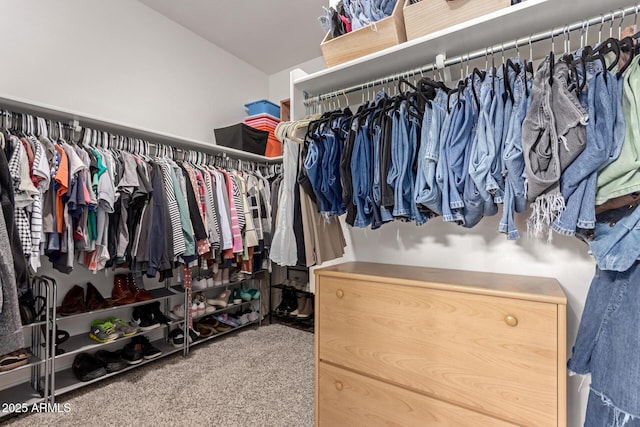 spacious closet featuring carpet