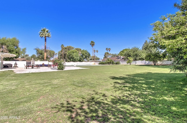 1712 E Fairfield St, Mesa, AZ 85203 - view of yard