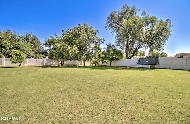 1712 E Fairfield St, Mesa, AZ 85203 - fenced backyard with a trampoline