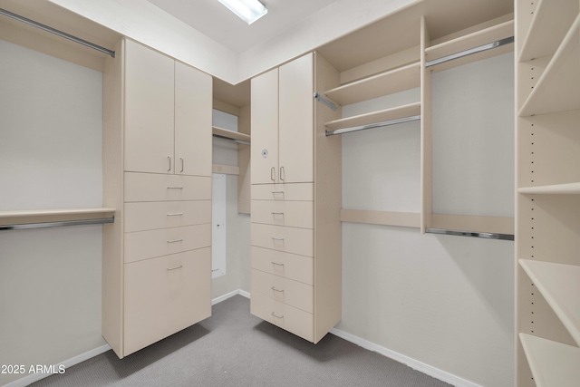 walk in closet with carpet floors