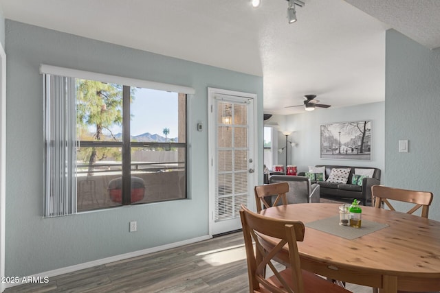 dining area featuring hardwood / wood-style flooring and ceiling fan