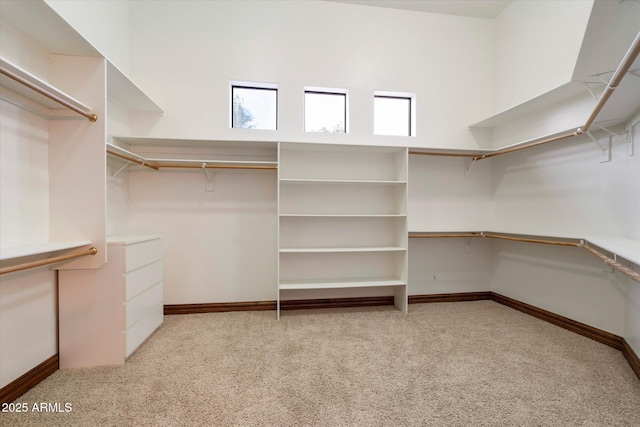 3523 E Presidio Cir, Mesa, AZ 85213 - spacious closet with light colored carpet