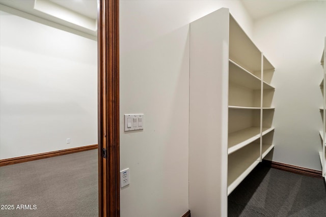 3523 E Presidio Cir, Mesa, AZ 85213 - spacious closet with carpet floors