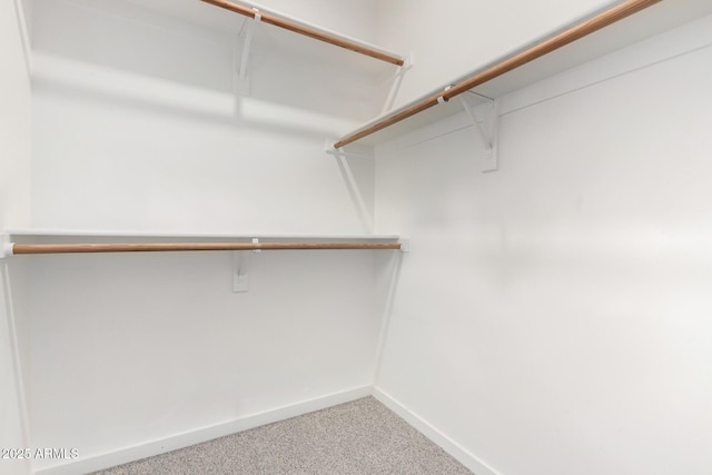 1111 W University Dr Unit 3016, Tempe, AZ 85281 - walk in closet featuring carpet flooring