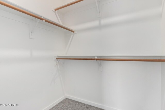 1111 W University Dr Unit 3016, Tempe, AZ 85281 - spacious closet featuring carpet flooring