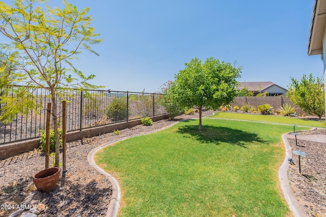 12035 W Roy Rogers Rd, Peoria, AZ 85383 - view of yard
