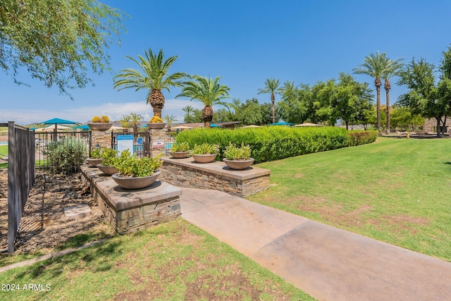 12035 W Roy Rogers Rd, Peoria, AZ 85383 - view of yard