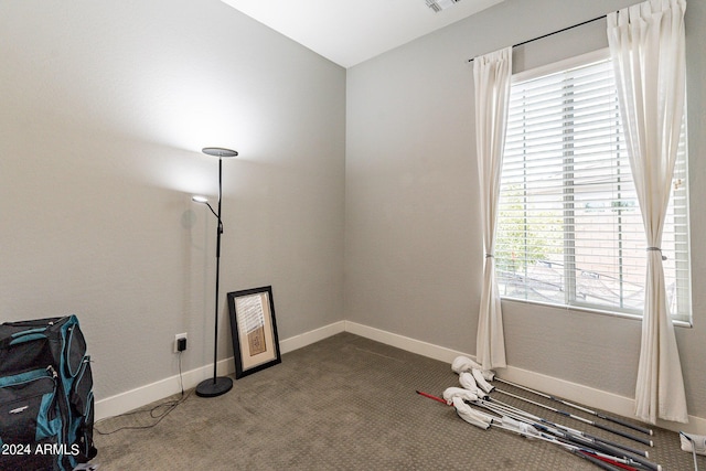 12035 W Roy Rogers Rd, Peoria, AZ 85383 - misc room featuring carpet flooring