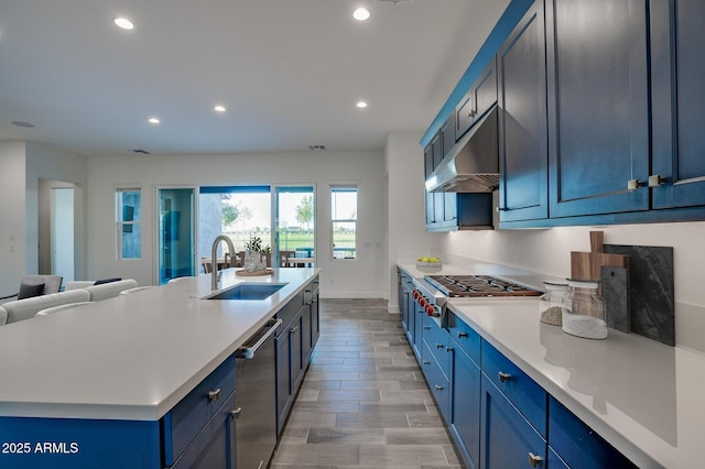11534 N Jerome St, Surprise, AZ 85388 - kitchen featuring a sink, stainless steel appliances, under cabinet range hood, blue cabinets, and recessed lighting