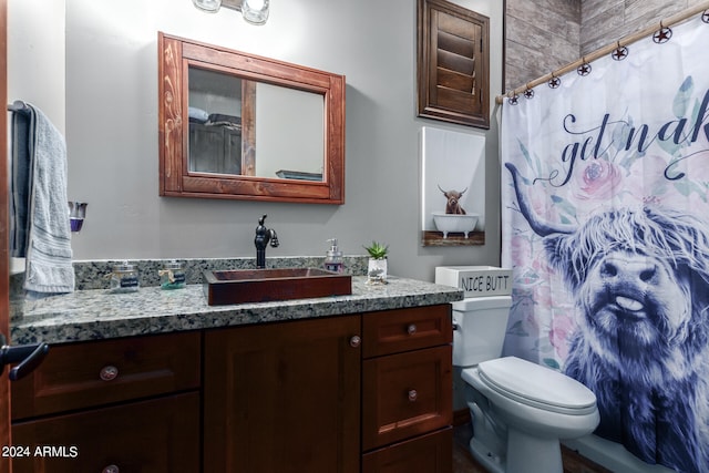 bathroom featuring vanity, toilet, and a shower with curtain