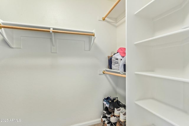 view of spacious closet