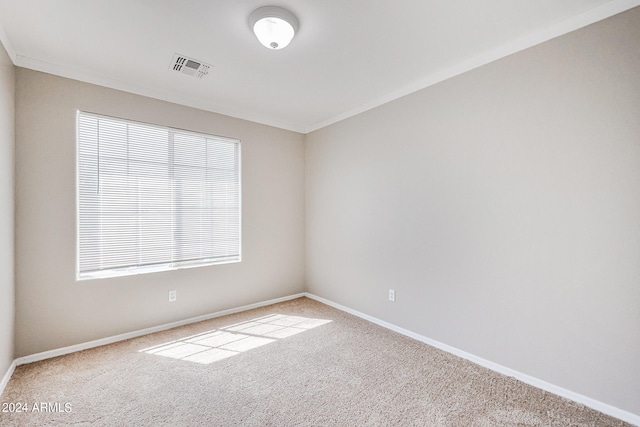 unfurnished room featuring crown molding and carpet flooring